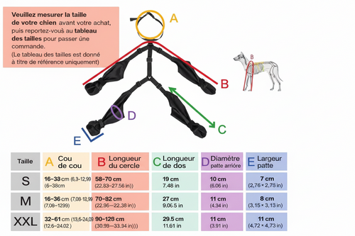 Protège-pattes imperméable pour chien