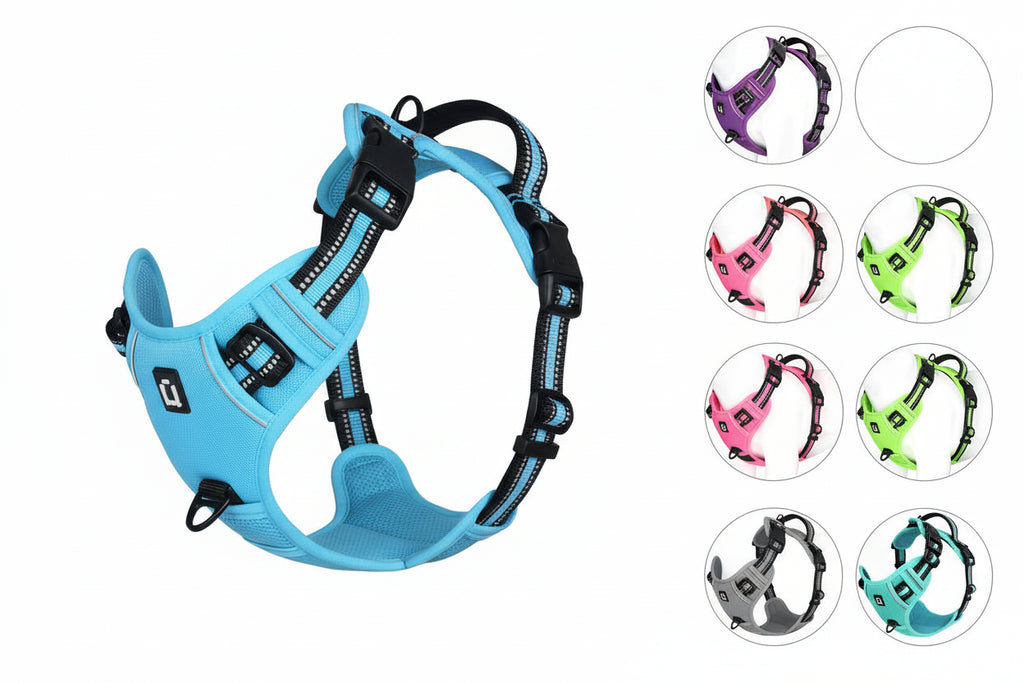 Harnais pour chien anti-traction